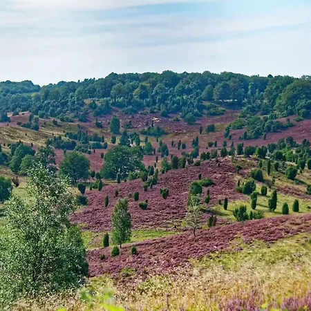 Apartment Schaeferfeld
