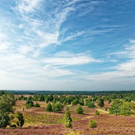 Schaeferfeld Luneburg